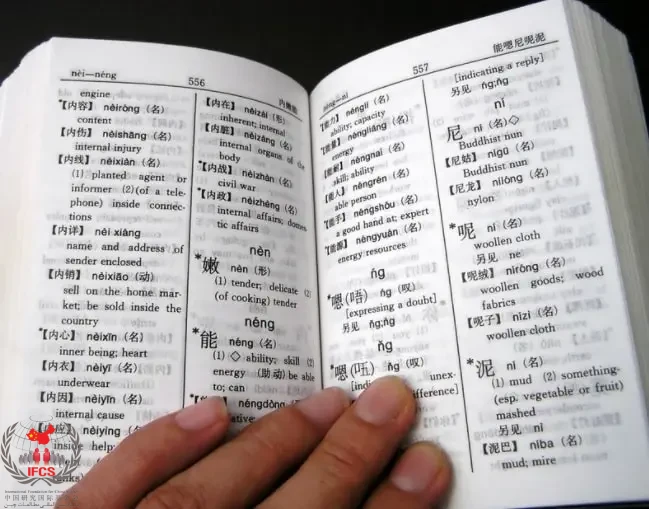 لغت نامه چینی
