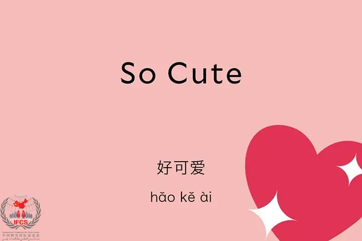 جمله های زیبا به زبان چینی